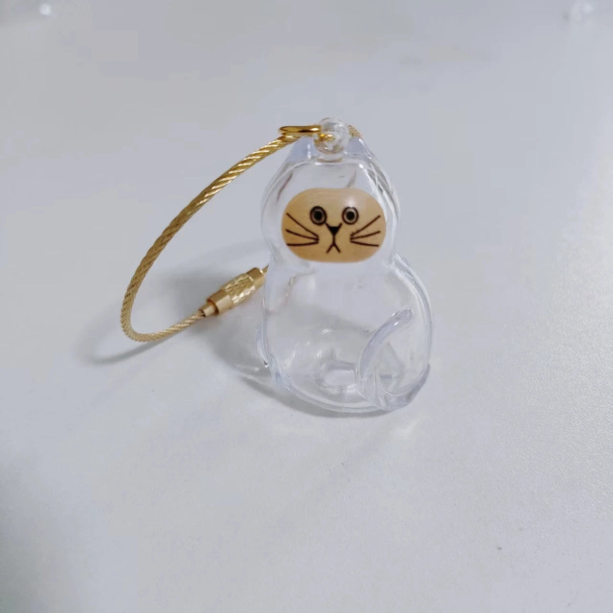 Porte-Clés Souvenir pour Poils de Chien & Chat – Pendentif Capsule Transparente pour Sac & Clés, Bijou Mémoire Animalier