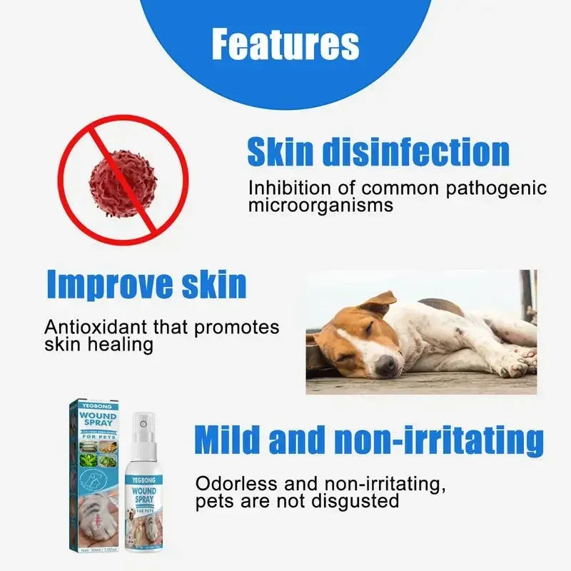 Spray Apaisant Anti-Démangeaisons pour Chien & Chat (30 ml) – Soin Cutané Sans Rinçage, Peau Sensible, Rougeurs & Irritations