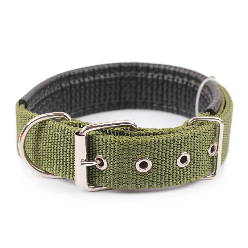 Collier en Nylon Uni Réglable pour Chien – Collier Classique Résistant avec Boucle Rapide pour Petit, Moyen & Grand Chien