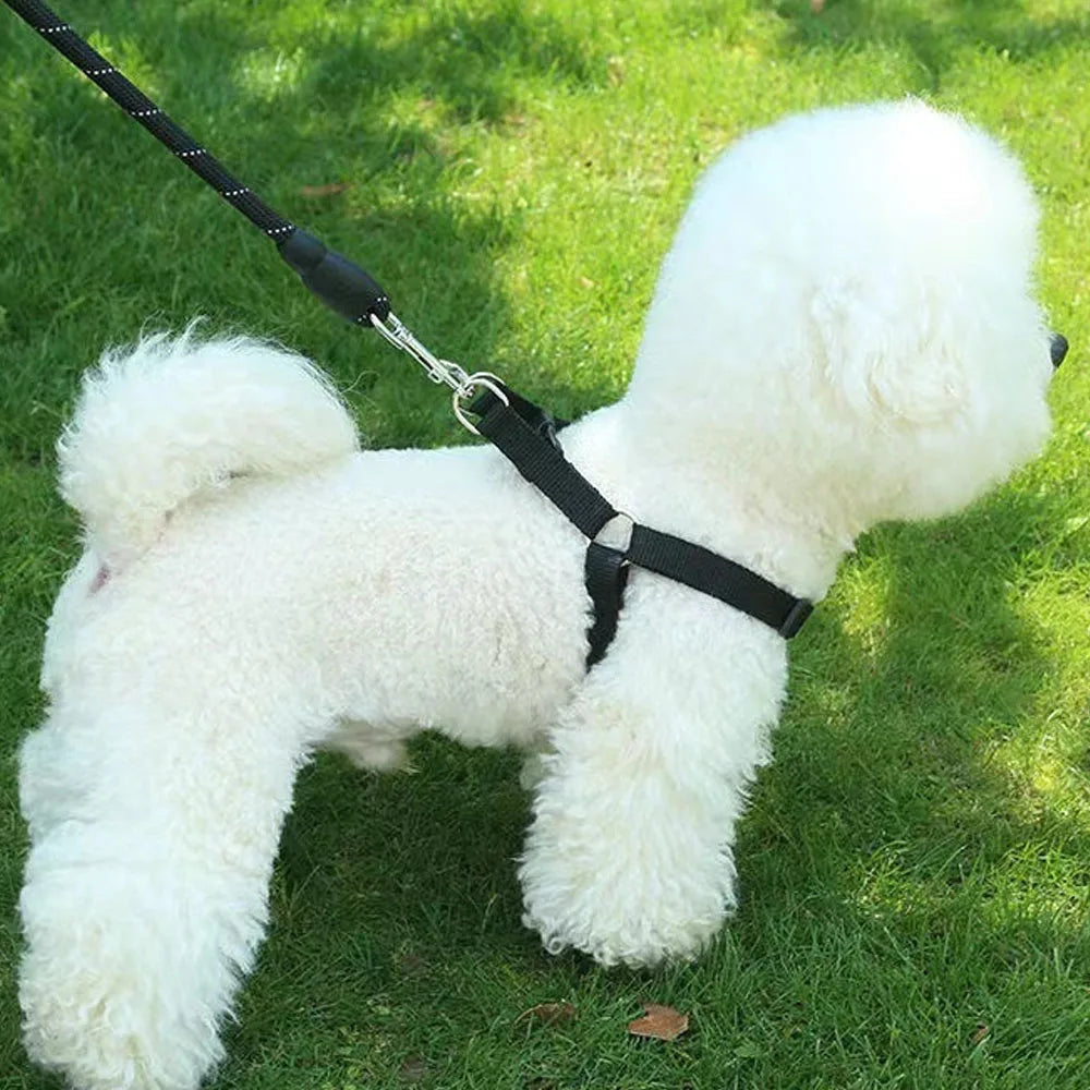 Harnais pour Chien Ergonomique & Réglable – Harnais Veste Anti-Traction Respirant pour Chiot, Moyen & Grand Chien