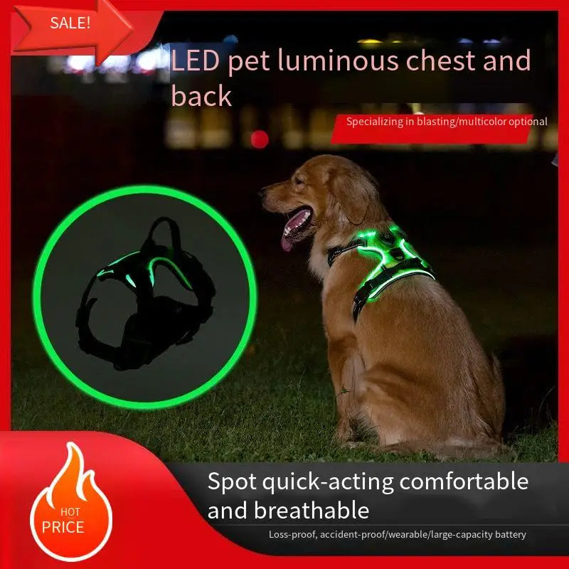 Gilet Harnais Lumineux LED pour Chien Réfléchissant & Réglable – Gilet de Sécurité Nuit & Anti-Collision