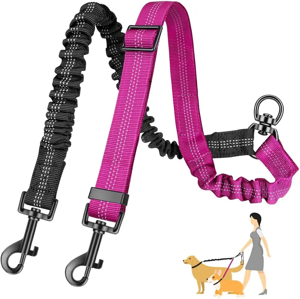 Laisse Double pour 2 Chiens avec Amortisseur Anti-Traction – Séparateur Élastique Réglable Anti-Nœuds
