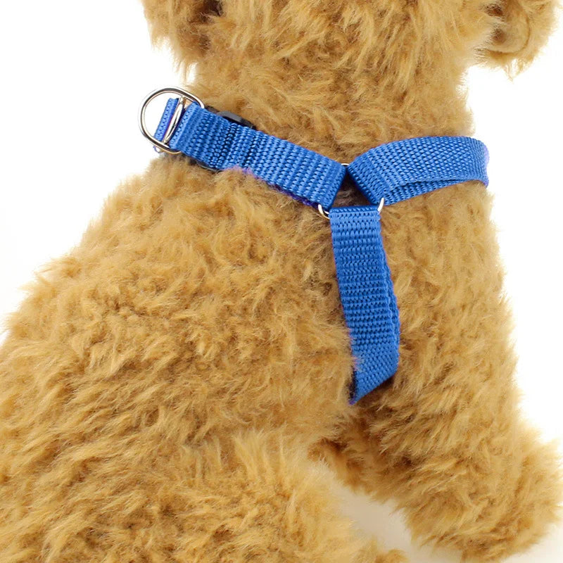 Harnais pour Chien Ergonomique & Réglable – Harnais Veste Anti-Traction Respirant pour Chiot, Moyen & Grand Chien