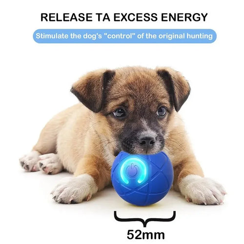 Balle Interactive Automatique pour Chien & Chat – Jouet Roulant Intelligent Rechargeable USB à 2 Modes de Jeu