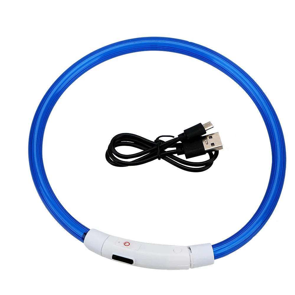 Collier Lumineux LED pour Chien Rechargeable USB – Collier de Sécurité Nuit Haute Visibilité & Anti-Perte