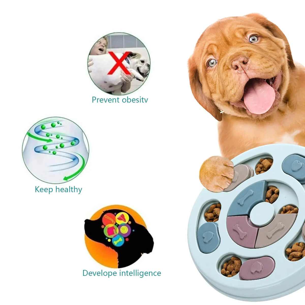 Puzzle Interactif Distributeur de Friandises pour Chien – Jeu d'Enrichissement Mental QI & Gamelle Anti-Glouton pour Petit, Moyen & Grand Chien