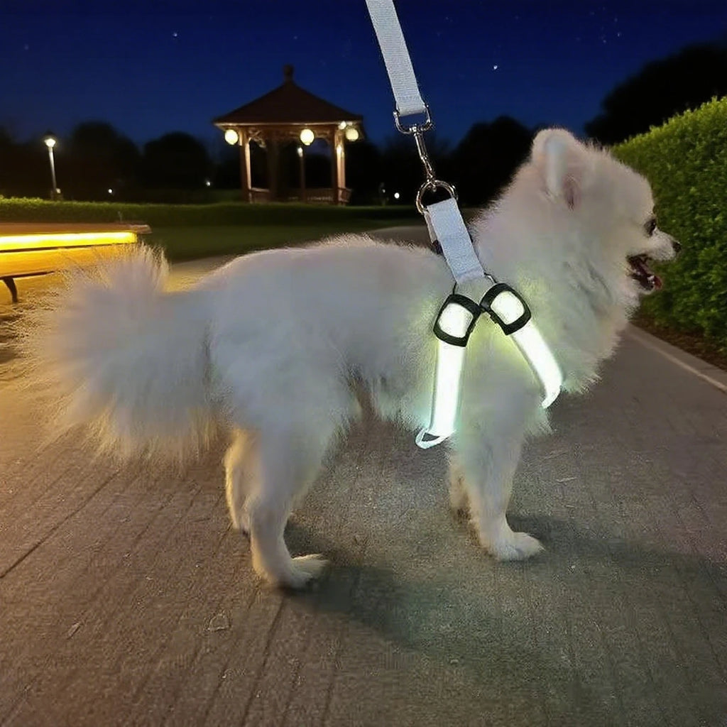 Outdoor Luminous Pet Supplies LED Luminous Dog Chest Harness Large Dog Traction Dog Walking Supplies To Prevent Getting Lost New