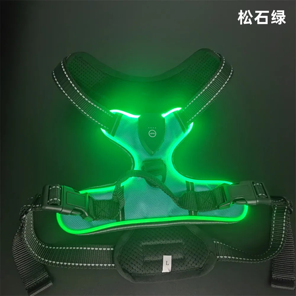Gilet Harnais Lumineux LED pour Chien Réfléchissant & Réglable – Gilet de Sécurité Nuit & Anti-Collision
