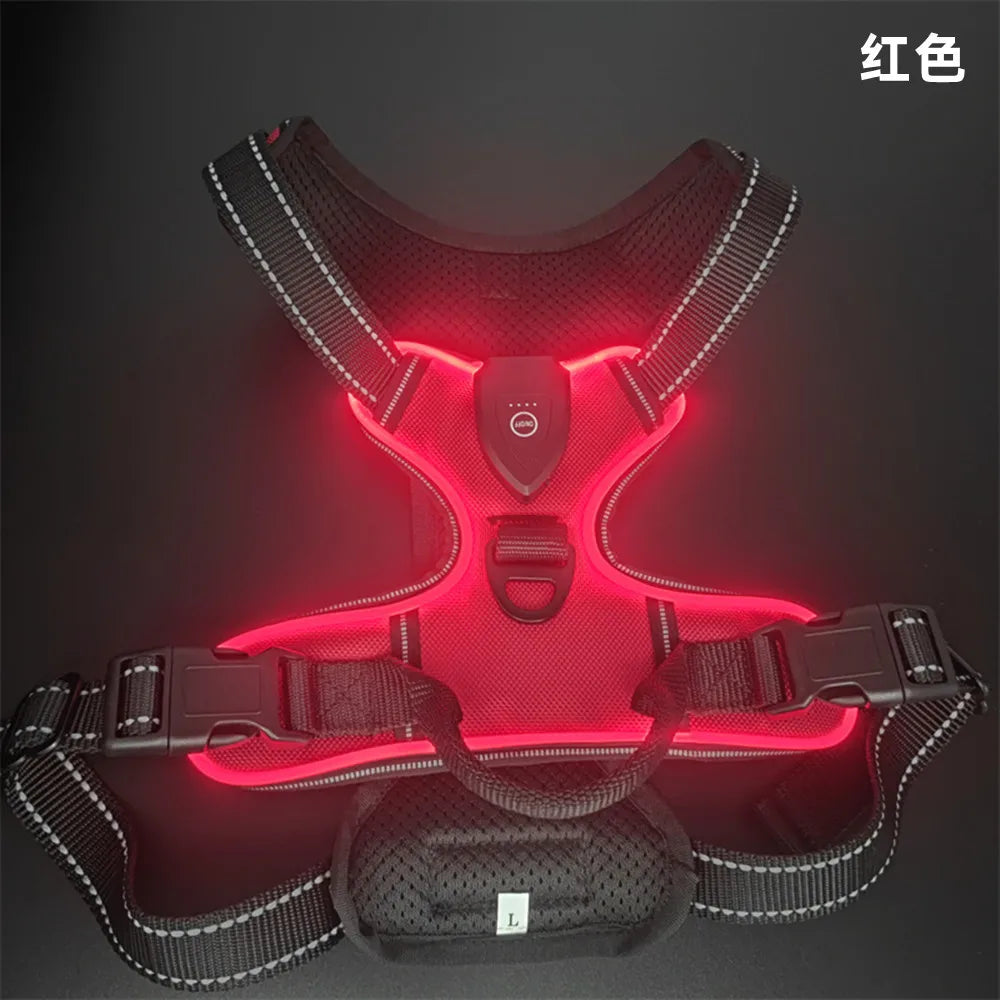 Gilet Harnais Lumineux LED pour Chien Réfléchissant & Réglable – Gilet de Sécurité Nuit & Anti-Collision