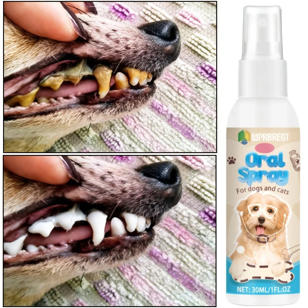 Spray Bucco-Dentaire pour Chien & Chat (50 ml) – Rafraîchisseur d'Haleine, Anti-Tartre & Soin de la Plaque Dentaire Sans Brossage