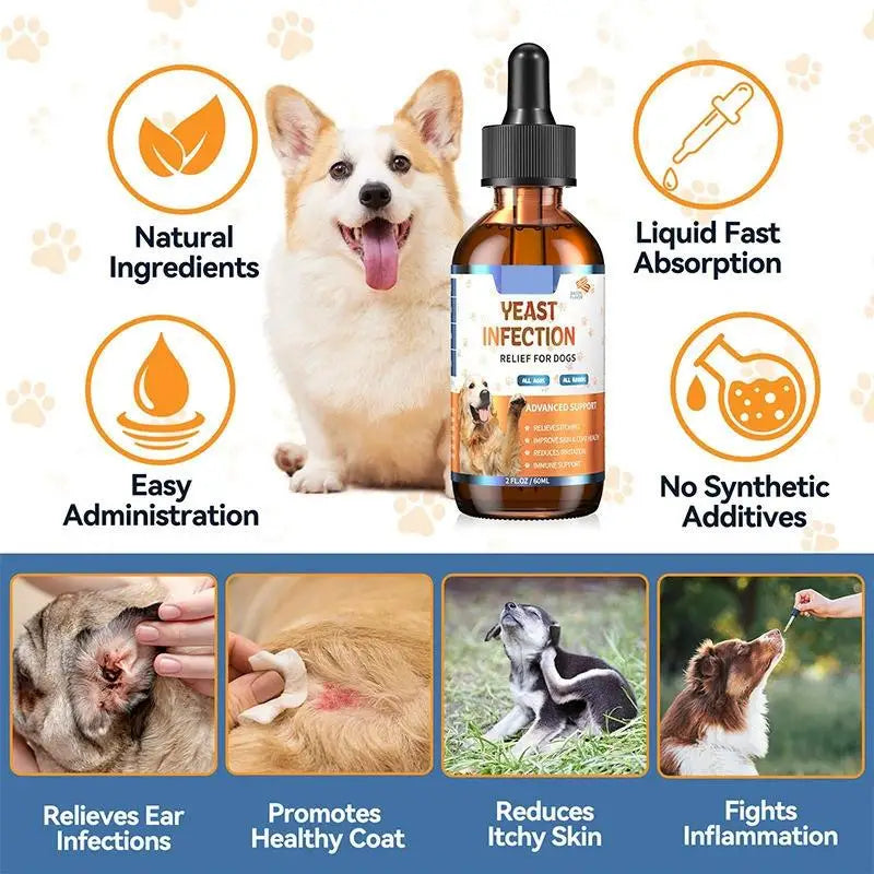 Gouttes de Soin Peau & Pelage aux Plantes pour Chien (60 ml) – Complément Liquide Apaisant Anti-Démangeaisons & Brillance du Poil