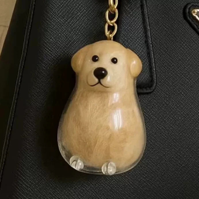 Porte-Clés Souvenir pour Poils de Chien & Chat – Pendentif Capsule Transparente pour Sac & Clés, Bijou Mémoire Animalier