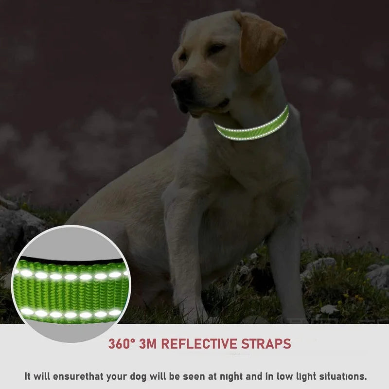Collier Décoratif pour Chien & Chiot – Collier Choker Tendance, Élégant et Réglable pour Petit & Moyen Chien