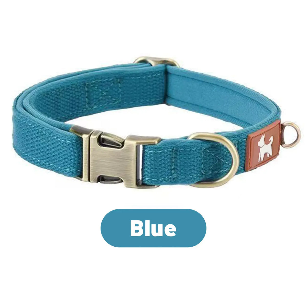 Collier pour Chien Réglable & Résistant (DC001) – Collier Extérieur Sécurisé pour Petit, Moyen & Grand Chien