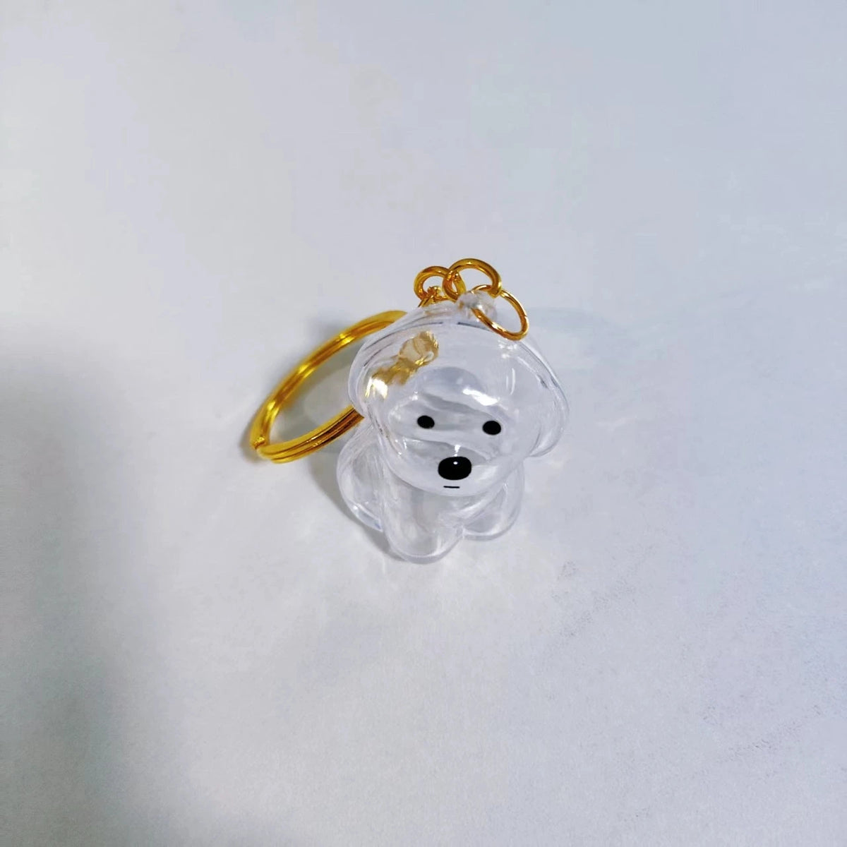 Porte-Clés Souvenir pour Poils de Chien & Chat – Pendentif Capsule Transparente pour Sac & Clés, Bijou Mémoire Animalier