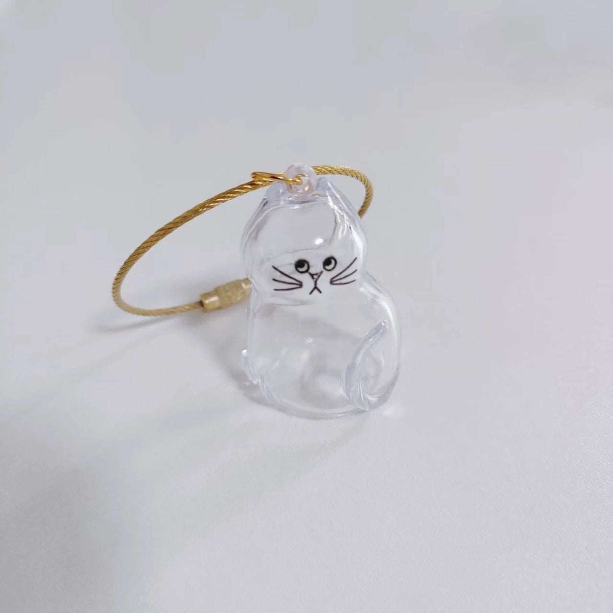 Porte-Clés Souvenir pour Poils de Chien & Chat – Pendentif Capsule Transparente pour Sac & Clés, Bijou Mémoire Animalier