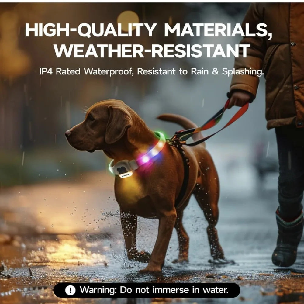 Silicone Led Luminous Dogs Collars USB Charging Walking The Dog Night Adjustable Pet Luminous Collar Dog Accessories Supplies