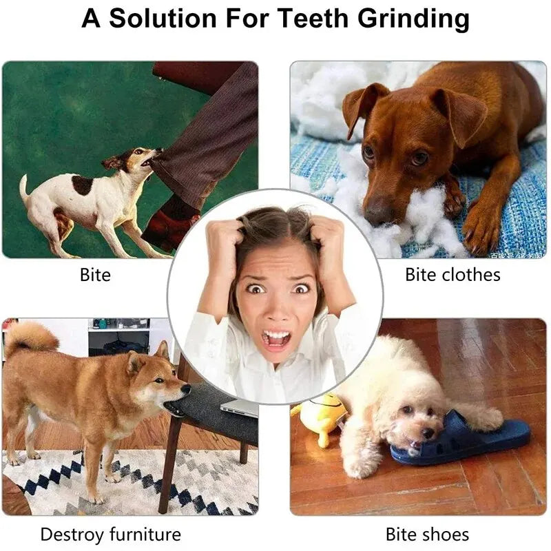Balle Distributrice de Friandises pour Chien & Chiot – Jouet Mastication en Caoutchouc Naturel Non Toxique, Nettoyage des Dents & Anti-Stress