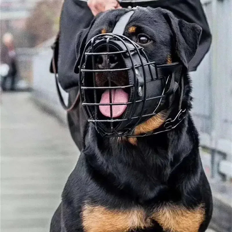 Muselière Tactique en Métal pour Chien – Panier Respirant Anti-Morsure & Sécurité Dressage Grands Chiens