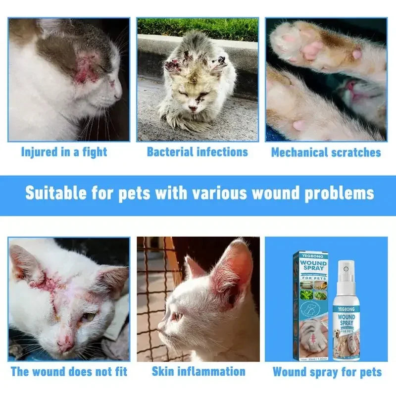 Spray Apaisant Anti-Démangeaisons pour Chien & Chat (30 ml) – Soin Cutané Sans Rinçage, Peau Sensible, Rougeurs & Irritations