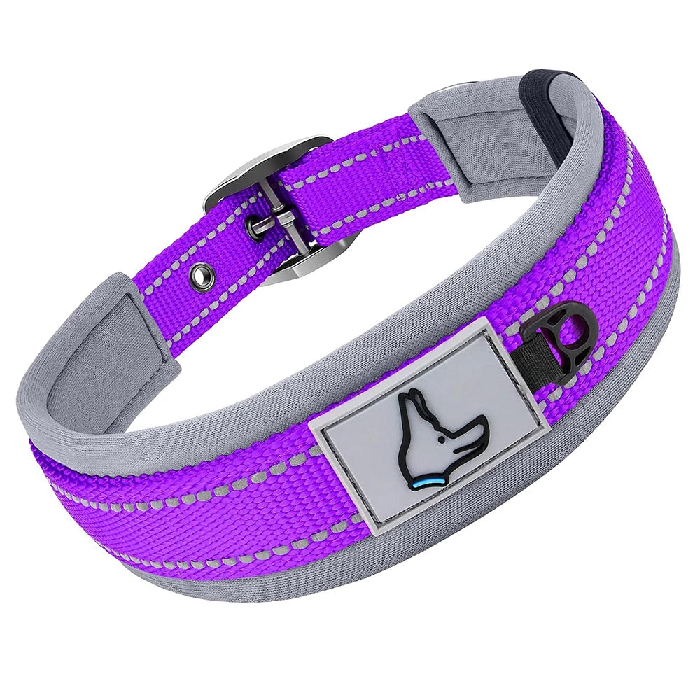 Collier Rembourré en Néoprène pour Chien – Collier en Nylon Réfléchissant, Réglable, Confortable & Haute Résistance