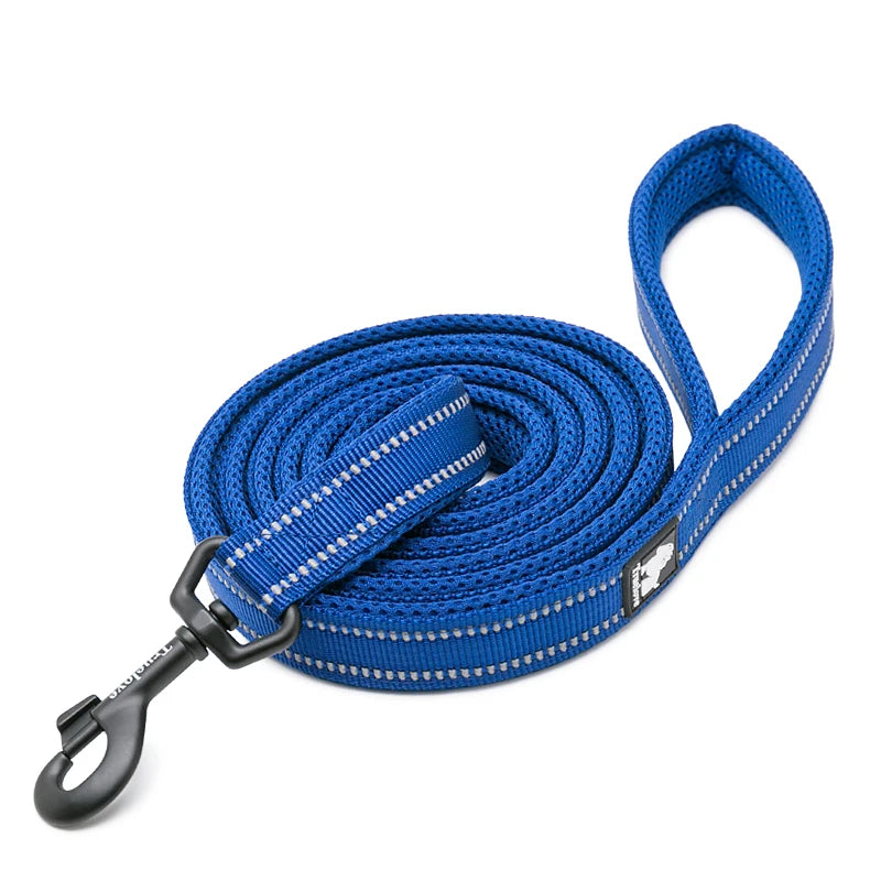 Laisse de Dressage 200 cm Winhyepet pour Chien – Laisse Longue Robuste avec Poignée Rembourrée Confort pour Petit, Moyen & Grand Chien