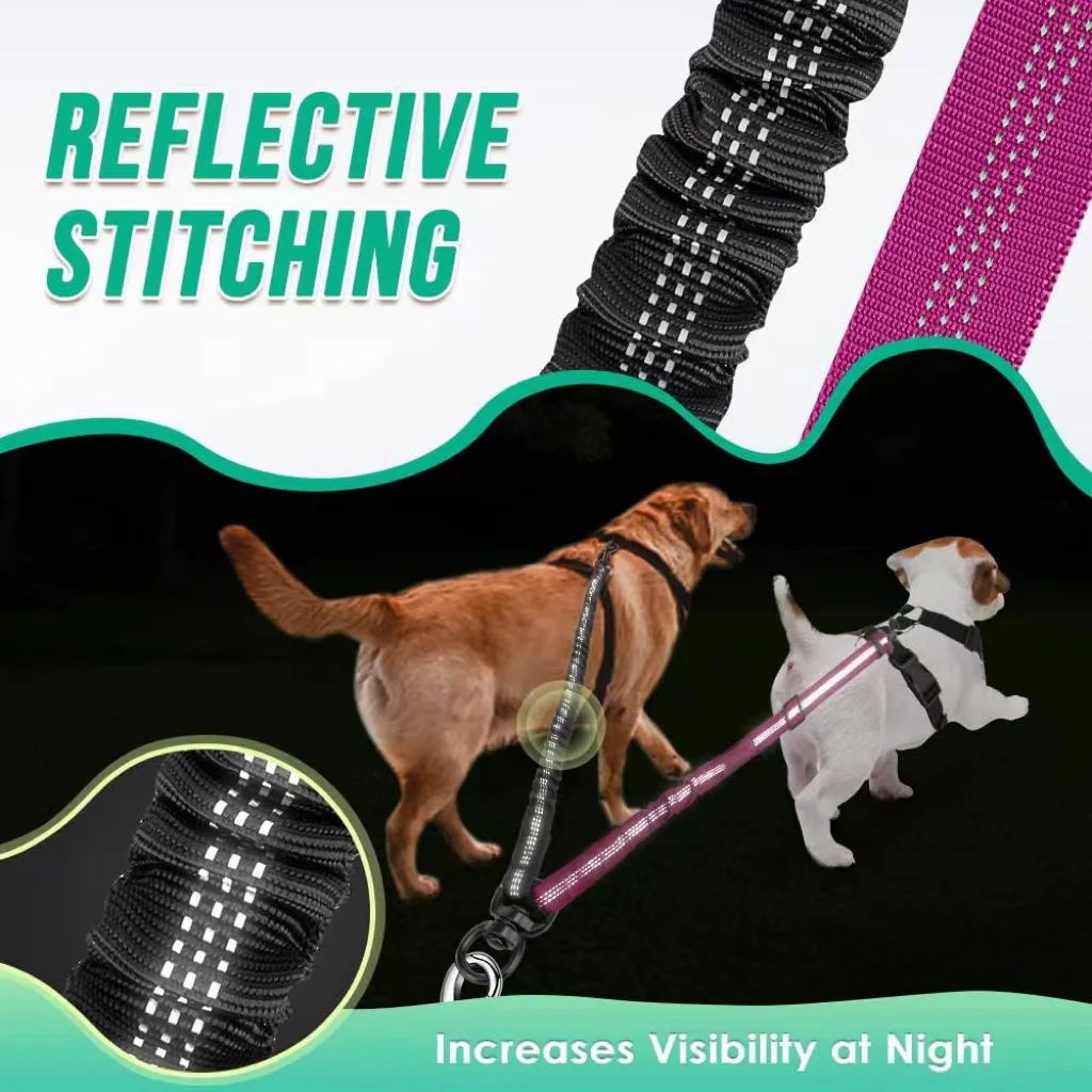 Laisse Double pour 2 Chiens avec Amortisseur Anti-Traction – Séparateur Élastique Réglable Anti-Nœuds