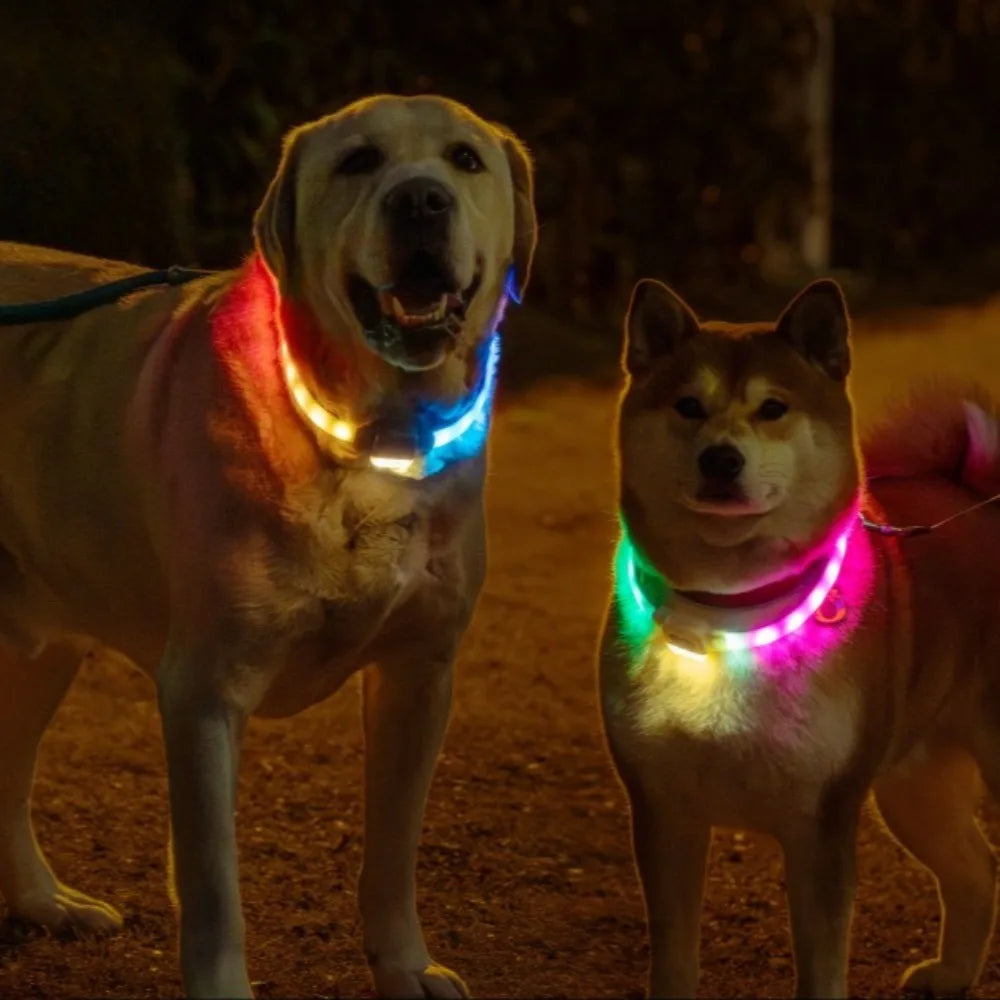 Silicone Led Luminous Dogs Collars USB Charging Walking The Dog Night Adjustable Pet Luminous Collar Dog Accessories Supplies