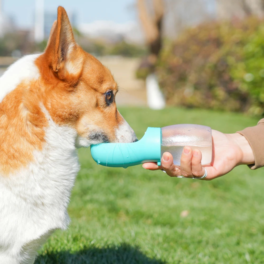 Gourde Portable 300 ml pour Chien & Chat – Bouteille d'Eau de Voyage avec Écuelle Intégrée Anti-Fuite pour Balade & Randonnée