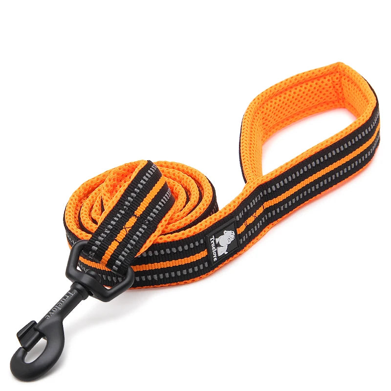Laisse de Dressage 200 cm Winhyepet pour Chien – Laisse Longue Robuste avec Poignée Rembourrée Confort pour Petit, Moyen & Grand Chien