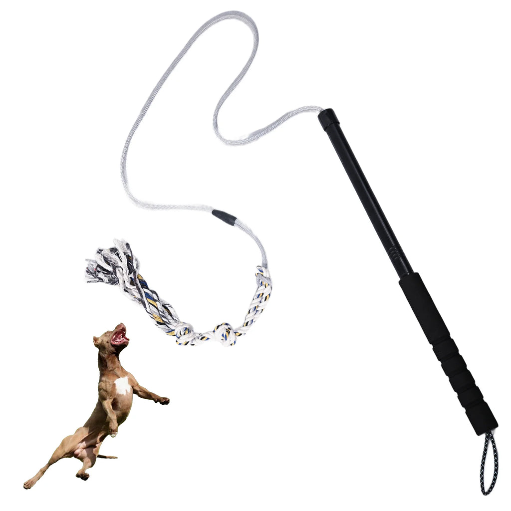 Flirt Pole for Dogs Interactive Dog Toys Durable Heavy Duty Dog Flirt Pole Suitable for Small and Medium Dogs Great Exercise and