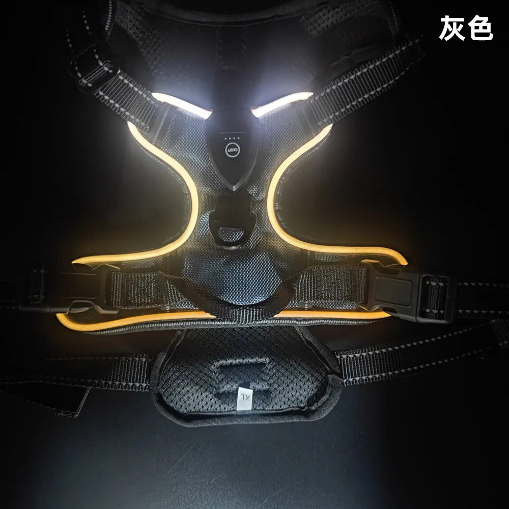 Gilet Harnais Lumineux LED pour Chien Réfléchissant & Réglable – Gilet de Sécurité Nuit & Anti-Collision