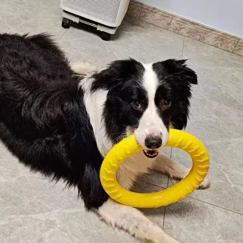 Dog Ring Toys Indestructible Chewing Flying Floating Training Tools Fetch for Small Medium Large Dogs Throwing Catching Flying