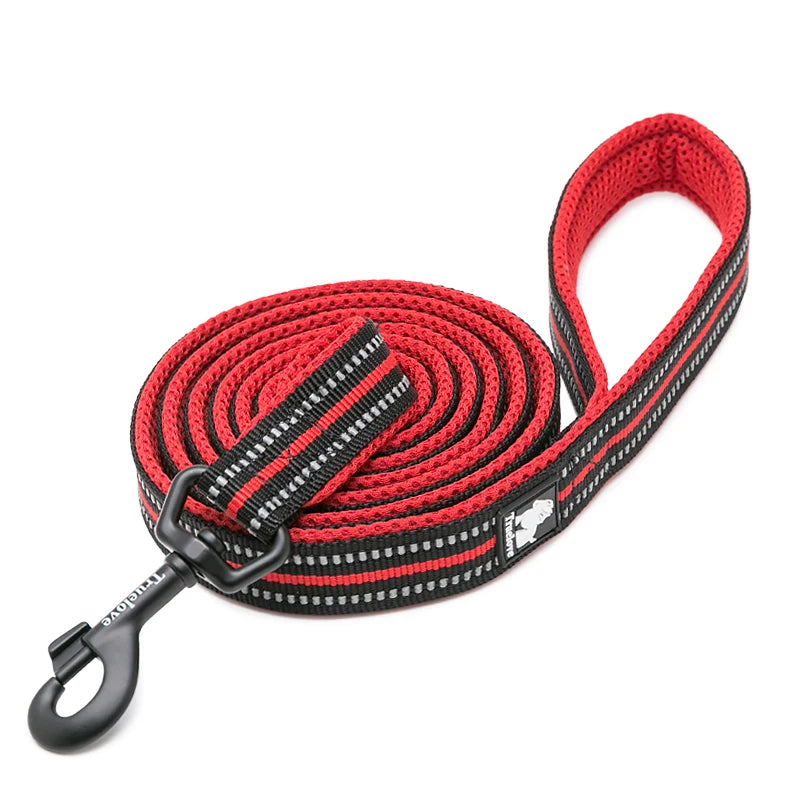 Laisse de Dressage 200 cm Winhyepet pour Chien – Laisse Longue Robuste avec Poignée Rembourrée Confort pour Petit, Moyen & Grand Chien