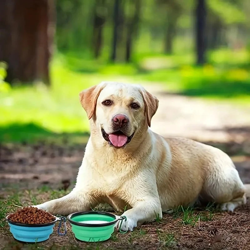 Lot de 2 Gamelles Pliables de Voyage pour Chien avec Couvercle – Écuelles Portables Silicone Eau & Nourriture