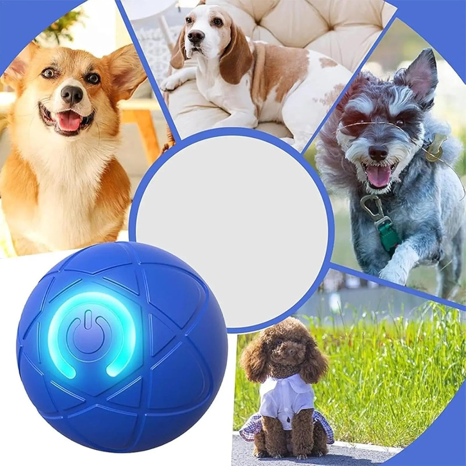Dog Toy Ball Interactive Rolling Ball Auto Moving Dog Toy Two Modes Rechargeable Automatic Ball Pet Toy Supplies for Dog Puppy
