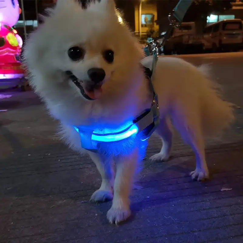 Outdoor Luminous Pet Supplies LED Luminous Dog Chest Harness Large Dog Traction Dog Walking Supplies To Prevent Getting Lost New