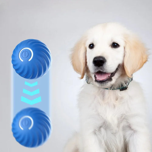 Balle Interactive Automatique pour Chien & Chiot – Jouet Intelligent Roulant, Rotatif 360° & Électrique Rechargeable USB