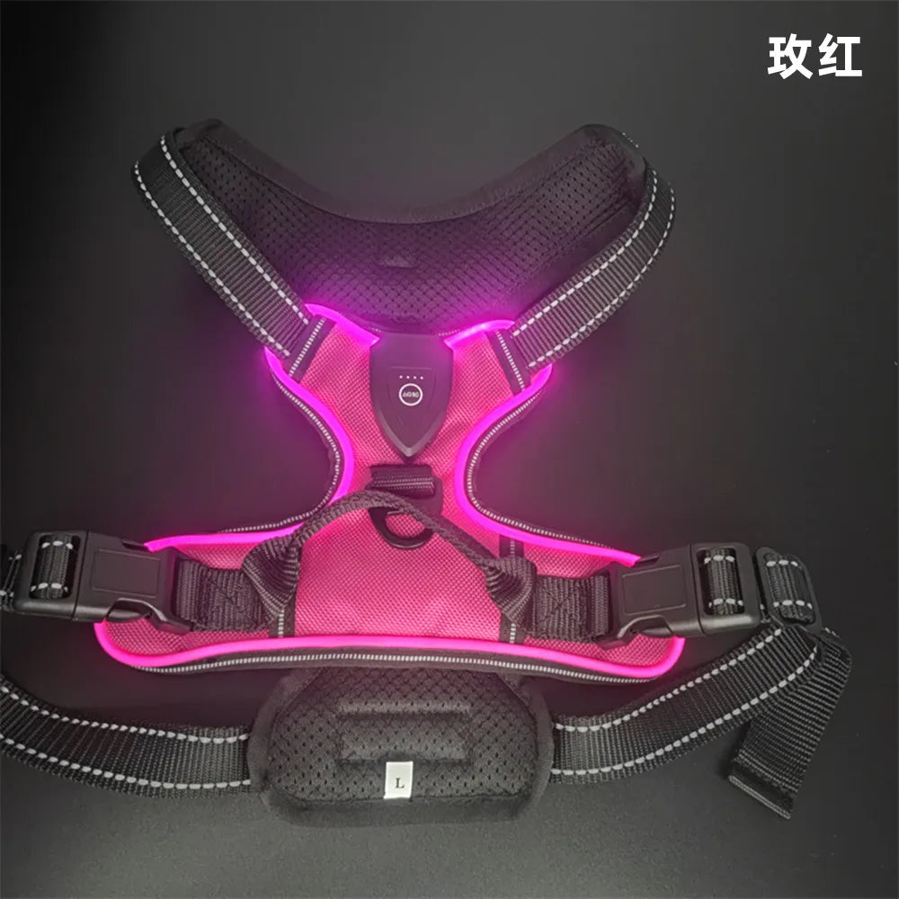 Gilet Harnais Lumineux LED pour Chien Réfléchissant & Réglable – Gilet de Sécurité Nuit & Anti-Collision