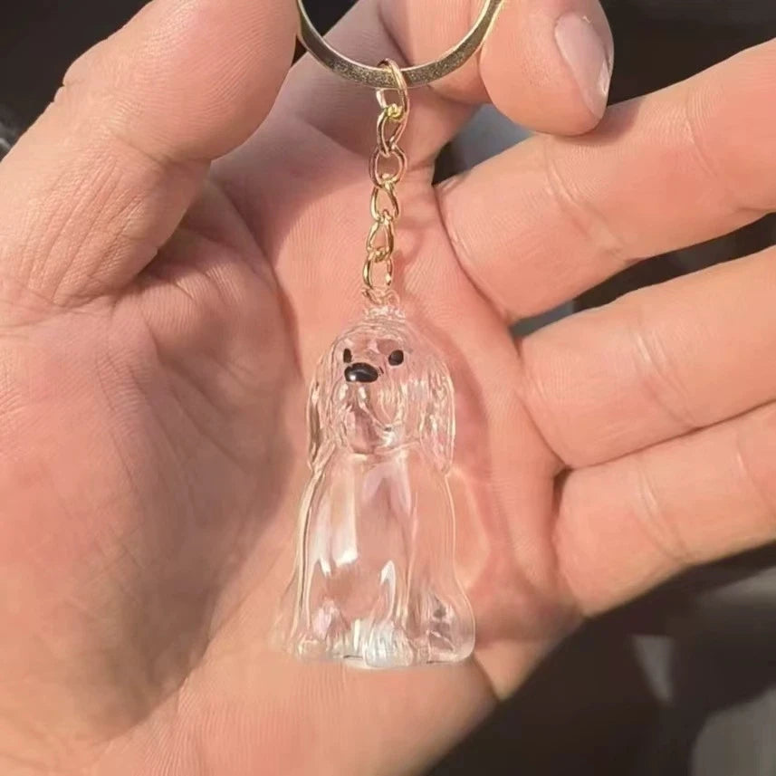 Porte-Clés Souvenir pour Poils de Chien & Chat – Pendentif Capsule Transparente pour Sac & Clés, Bijou Mémoire Animalier