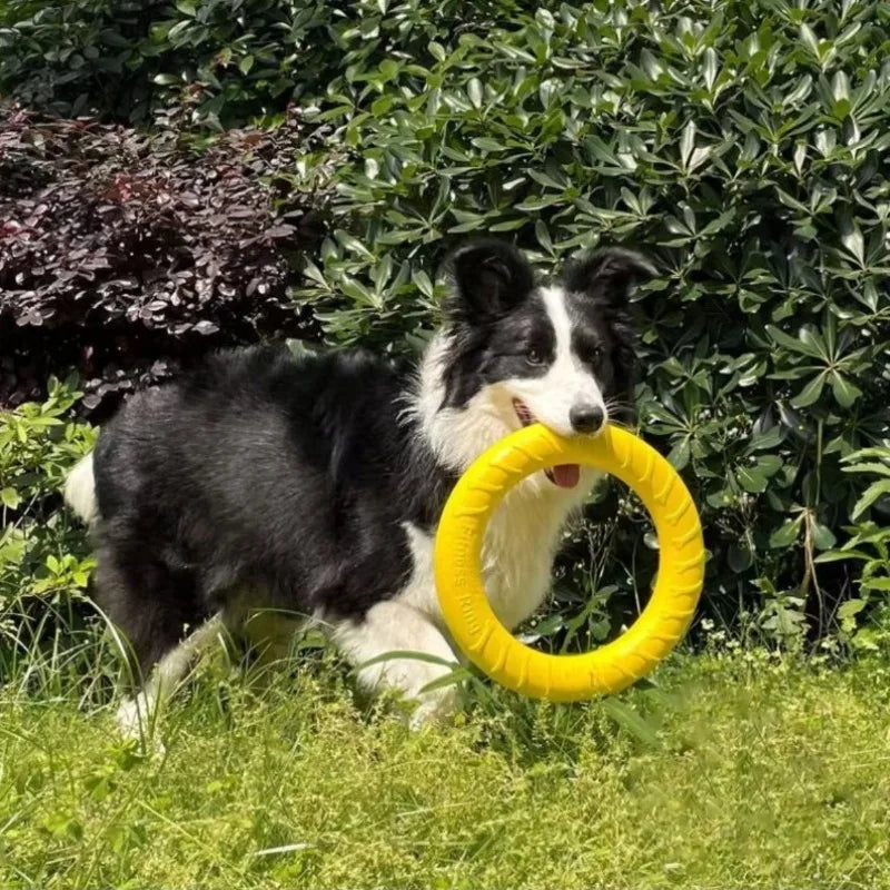 Dog Ring Toys Indestructible Chewing Flying Floating Training Tools Fetch for Small Medium Large Dogs Throwing Catching Flying