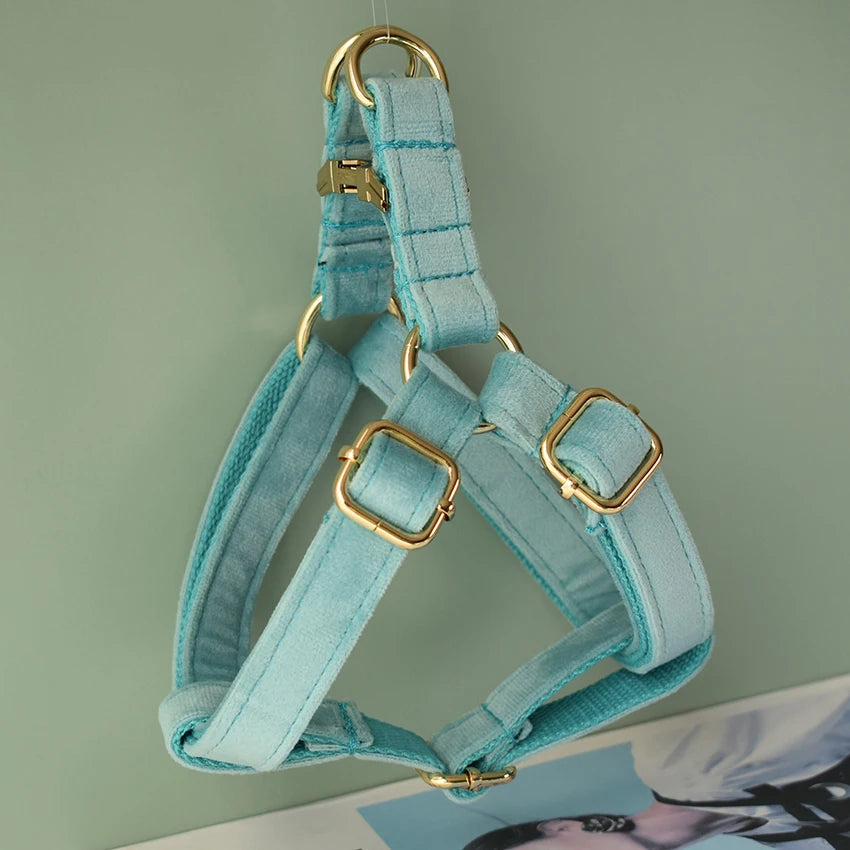 Ensemble Collier et Laisse en Flanelle Douce pour Chien – Corde de Promenade Résistante pour Golden Retriever & Grand Chien