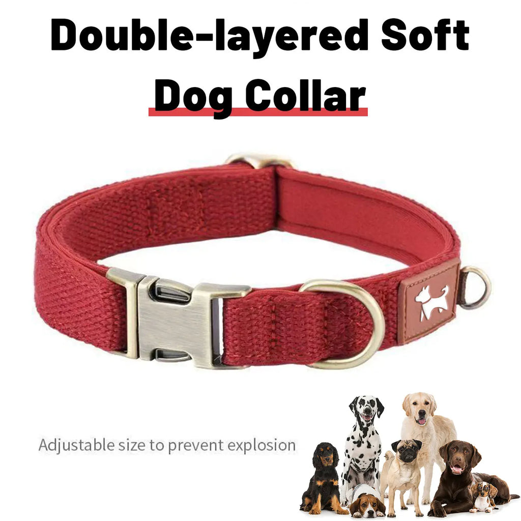Collier pour Chien Réglable & Résistant (DC001) – Collier Extérieur Sécurisé pour Petit, Moyen & Grand Chien