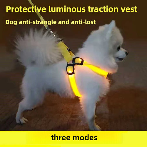 Harnais Lumineux LED pour Chien Rechargeable USB – Harnais de Poitrail Anti-Traction Haute Visibilité Nuit & Anti-Perte