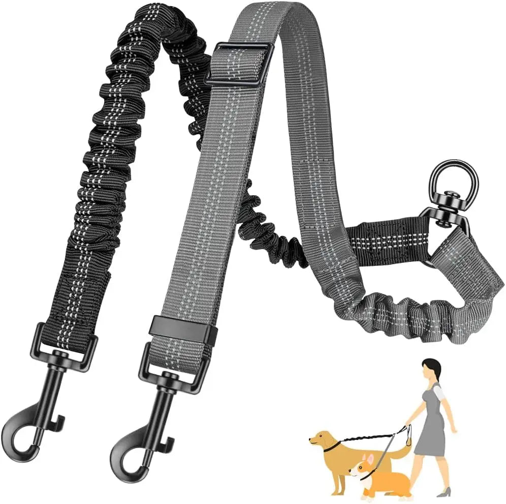 Laisse Double pour 2 Chiens avec Amortisseur Anti-Traction – Séparateur Élastique Réglable Anti-Nœuds