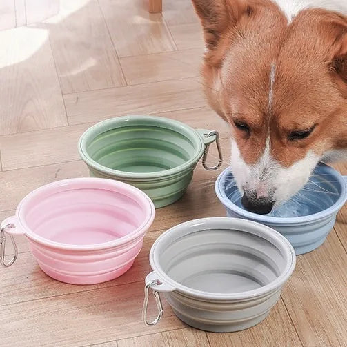 Gamelle Pliable de Voyage 350 ml pour Chien – Écuelle Nomade en Silicone avec Mousqueton pour Eau & Croquettes
