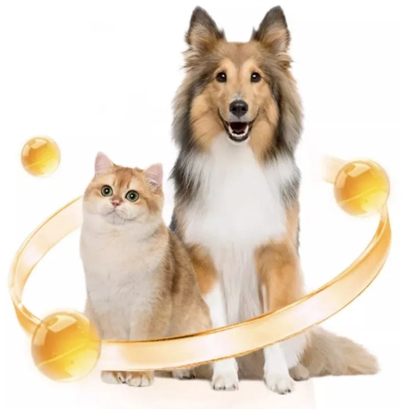 Complément Multivitaminé 8-en-1 RedDog pour Chien & Chat (180 g) – Vitamines Complètes, Soutien Articulaire, Immunité, Peau & Pelage