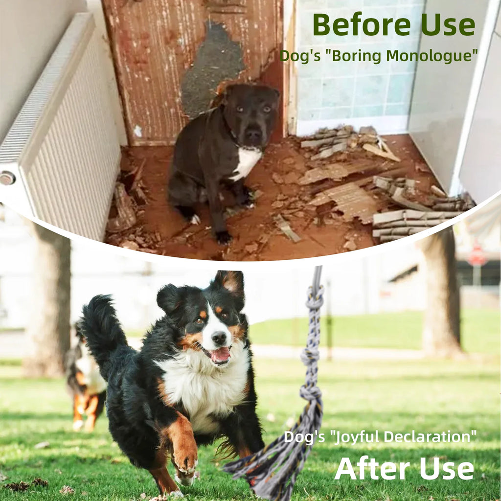 Flirt Pole for Dogs Interactive Dog Toys Durable Heavy Duty Dog Flirt Pole Suitable for Small and Medium Dogs Great Exercise and