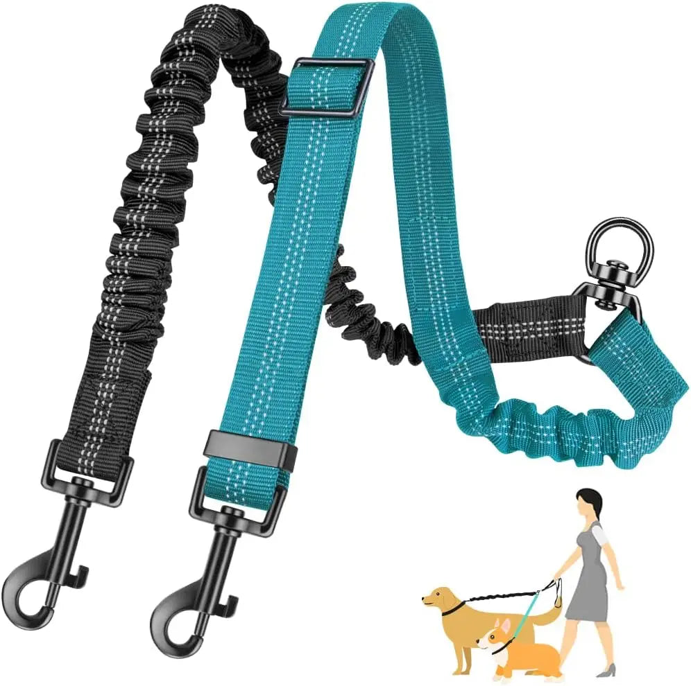 Laisse Double pour 2 Chiens avec Amortisseur Anti-Traction – Séparateur Élastique Réglable Anti-Nœuds