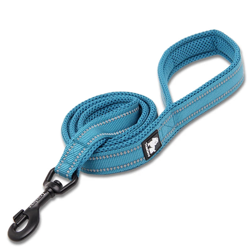 Laisse de Dressage 200 cm Winhyepet pour Chien – Laisse Longue Robuste avec Poignée Rembourrée Confort pour Petit, Moyen & Grand Chien
